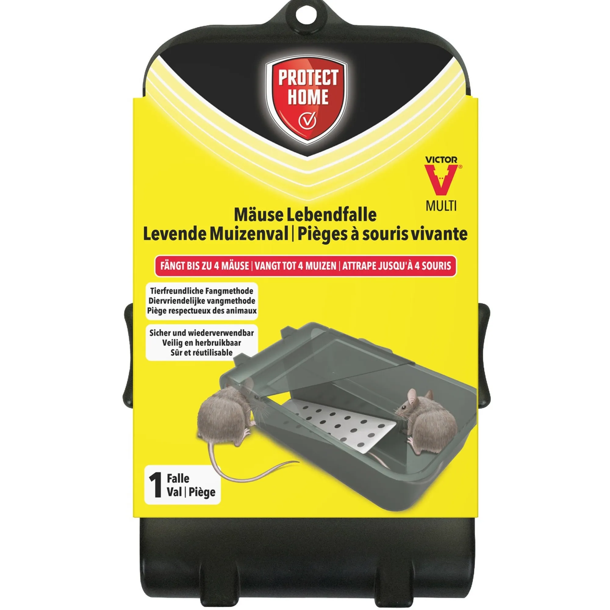 Protect Home Schoonmaken>Muizenval catch+hold Victor