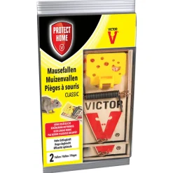 Protect Home Schoonmaken>Muizenval 2st.