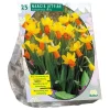 Baltus Bodemverbeteraars>Narcis Mini Jetfire geel oranje per 25