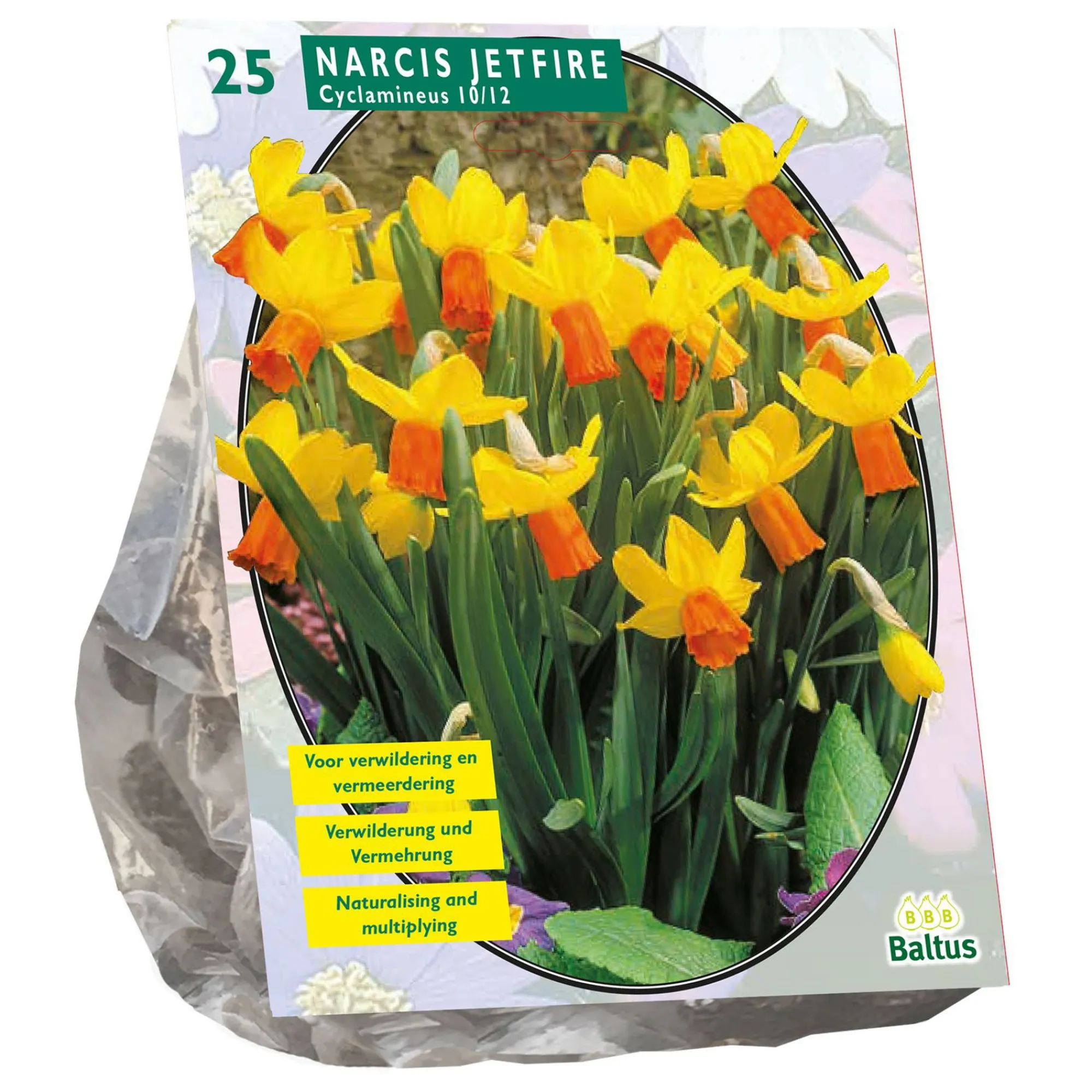 Baltus Bodemverbeteraars>Narcis Mini Jetfire geel oranje per 25