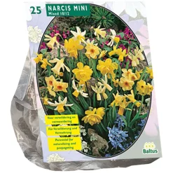 Baltus Bodemverbeteraars>Narcis Mini mix per 25