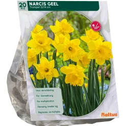 Baltus Bodemverbeteraars>Narcis Trompet Geel per 15