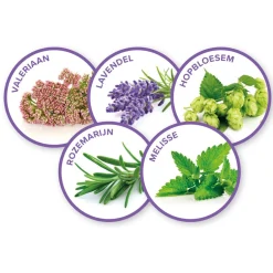 Beaphar Hondenverzorging><noscript><img width=