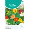 Horti Tops Moestuin>Oost-Indische kers Tom Thumb
