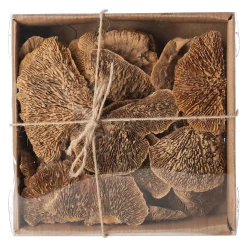 Natural Collections Woondecoratie>Paddenstoel deco naturel 120g