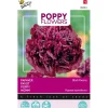 Buzzy Moestuin>Papaver Black Paeony