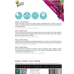 Buzzy Moestuin>Papaver Black Paeony