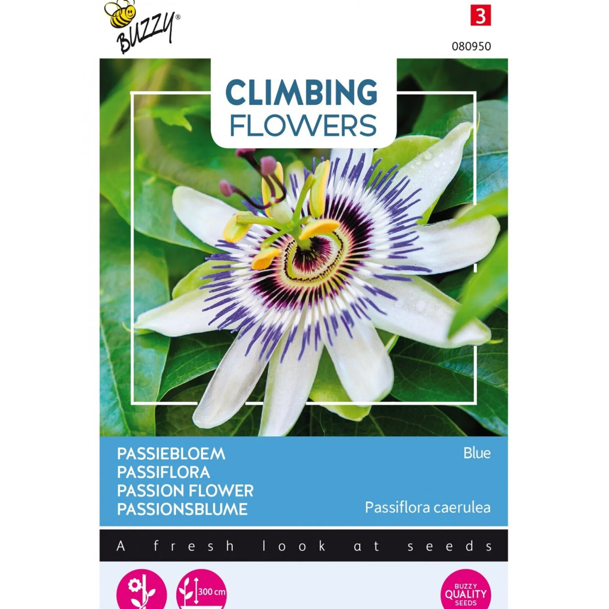 Buzzy Moestuin>Passiebloem blauw