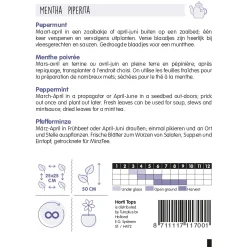 Horti Tops Moestuin>Pepermunt zaad