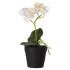 Kunstplanten En Kunstbloemen>Phalaenopsis in pot wit 25 x 15 cm