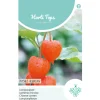 Horti Tops Moestuin>Physalis lampionplant