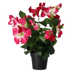 O'malley Kunstplanten En Kunstbloemen>Plant S assorti