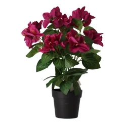 O'malley Kunstplanten En Kunstbloemen>Plant V 4 assorti