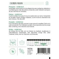 Horti Tops Moestuin>Pompoenen Uchiki Kuri zaad
