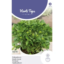 Horti Tops Moestuin>Potbasilicum Bascuro zaad