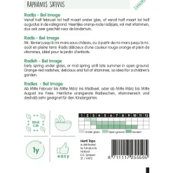 Horti Tops Moestuin>Radijs Bel Image zaad