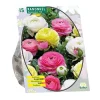 Baltus Bodemverbeteraars>Ranonkel Pastel mix per 15