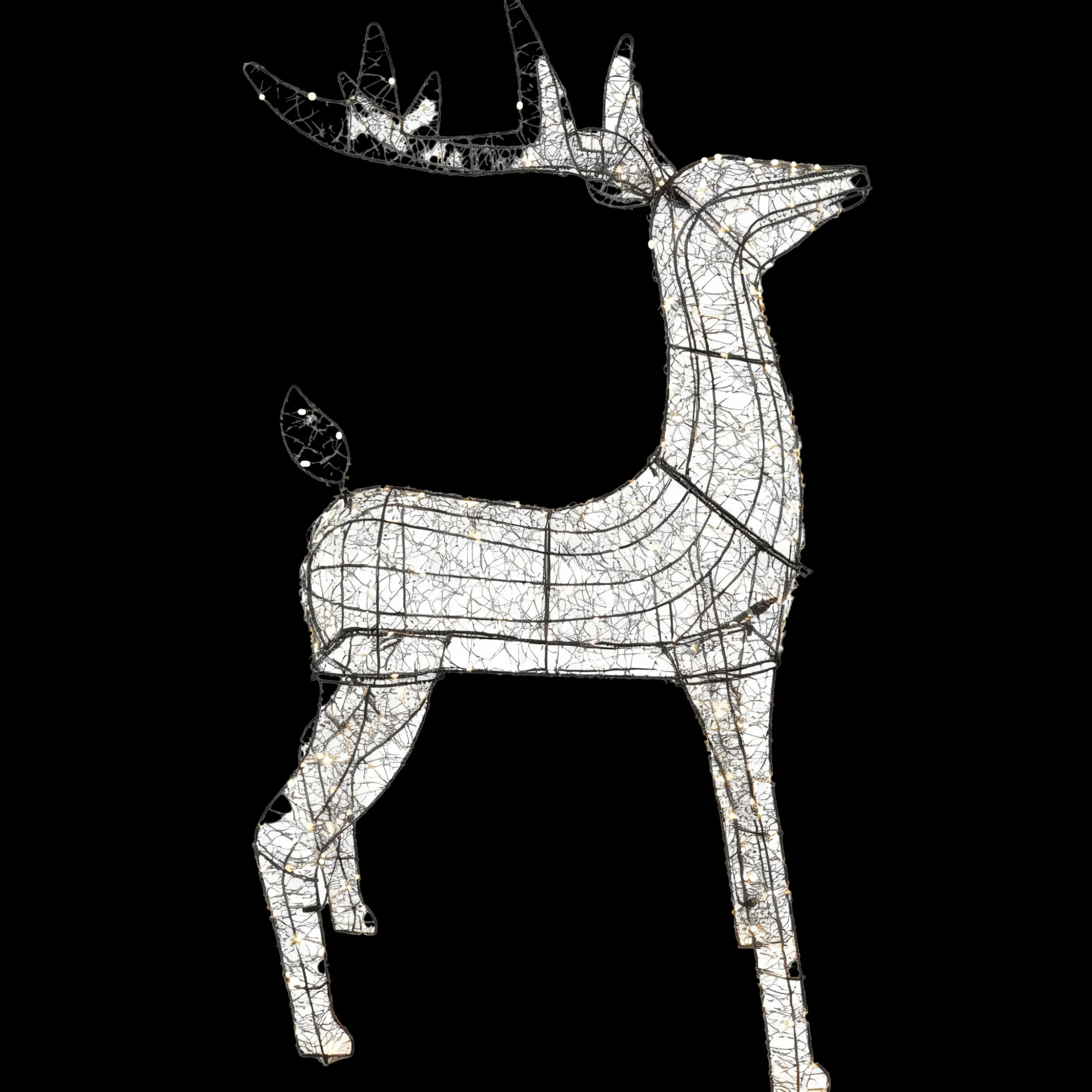 O'malley Kerstdecoratie|Kerstverlichting>Rendier 720 LED classic white