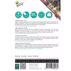 Buzzy Moestuin>Rode Tatsoi