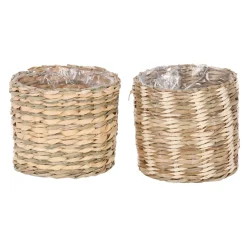 Mica Decorations Vazen En Potten>Ronde pot Alexis 9 x 10 cm diverse kleuren