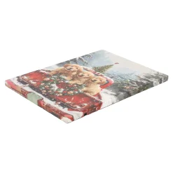 O'malley Kerstdecoratie>Schilderij Truck hond LED 30 x 40 cm