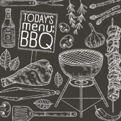 Duni Koken & Tafelen>Servet 33 x 33 cm BBQ today 20st