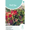 Horti Tops Moestuin>Siernetel Regenboog mix