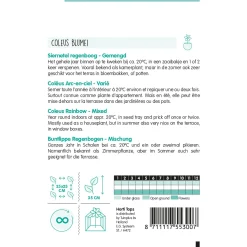 Horti Tops Moestuin>Siernetel Regenboog mix