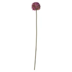 O'malley Kunstplanten En Kunstbloemen>Sierui 55 cm roze