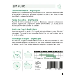 Horti Tops Moestuin>Snijbiet bright lights regenboog