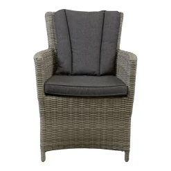 Bois le Duc Tuinstoelen>Stoel Sauro willow grey met kussen