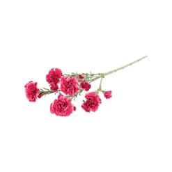 O'malley Kunstplanten En Kunstbloemen>Tak carnation roze 68 cm