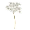Boltze home Kunstplanten En Kunstbloemen>Tak Hogweed creme 76 cm