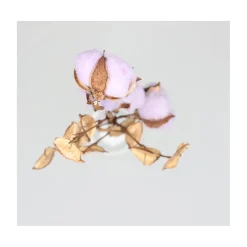 Natural Collections Kunstplanten En Kunstbloemen><noscript><img width=