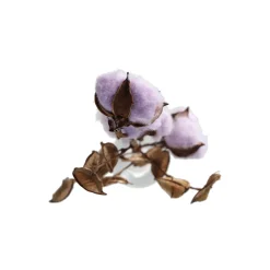 Natural Collections Kunstplanten En Kunstbloemen><noscript><img width=