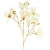Natural Collections Kunstplanten En Kunstbloemen>Tak magnolia 86 cm wit goud