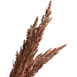 Kunstplanten En Kunstbloemen>Tak pampasgras bruin 82 cm