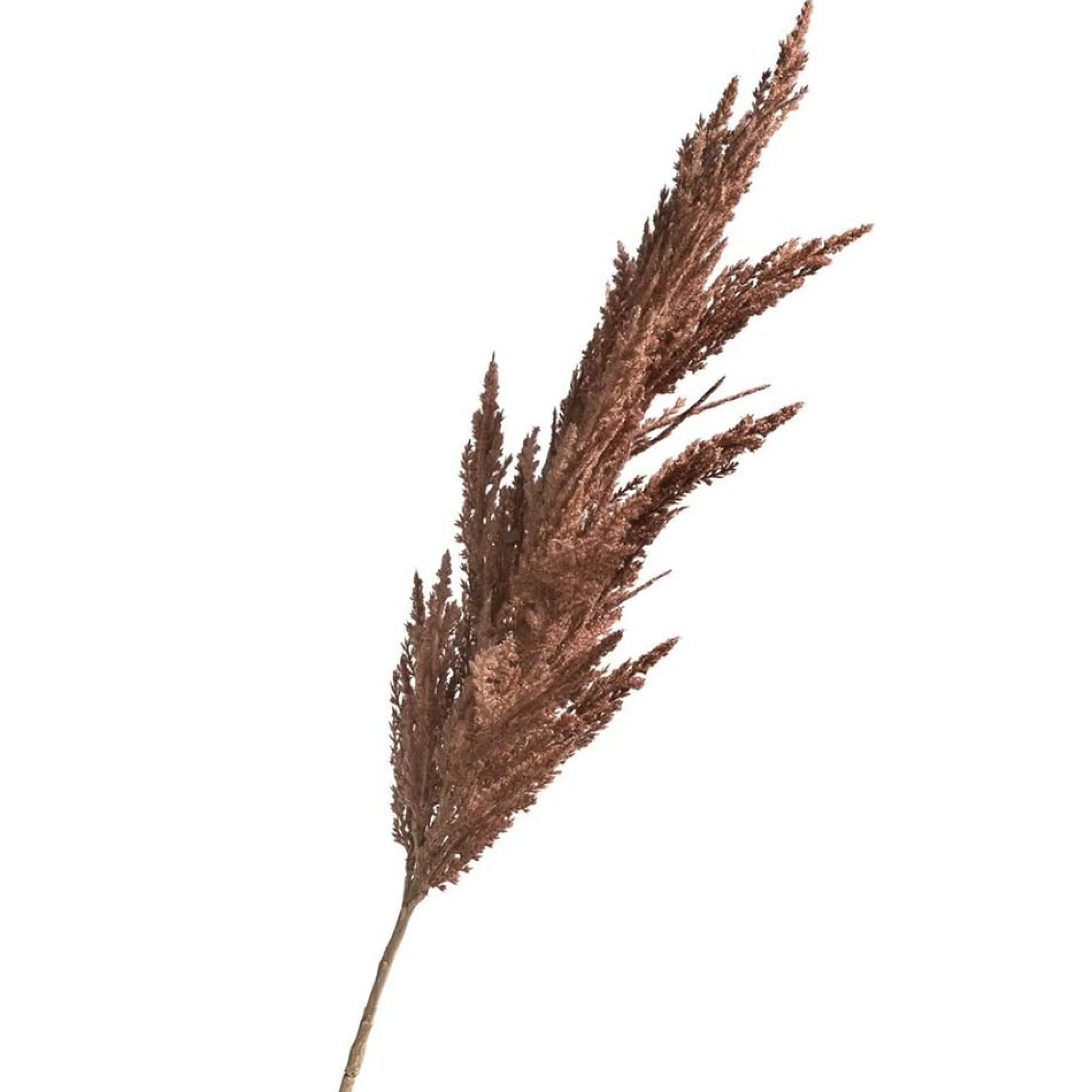 Kunstplanten En Kunstbloemen>Tak pampasgras bruin 82 cm
