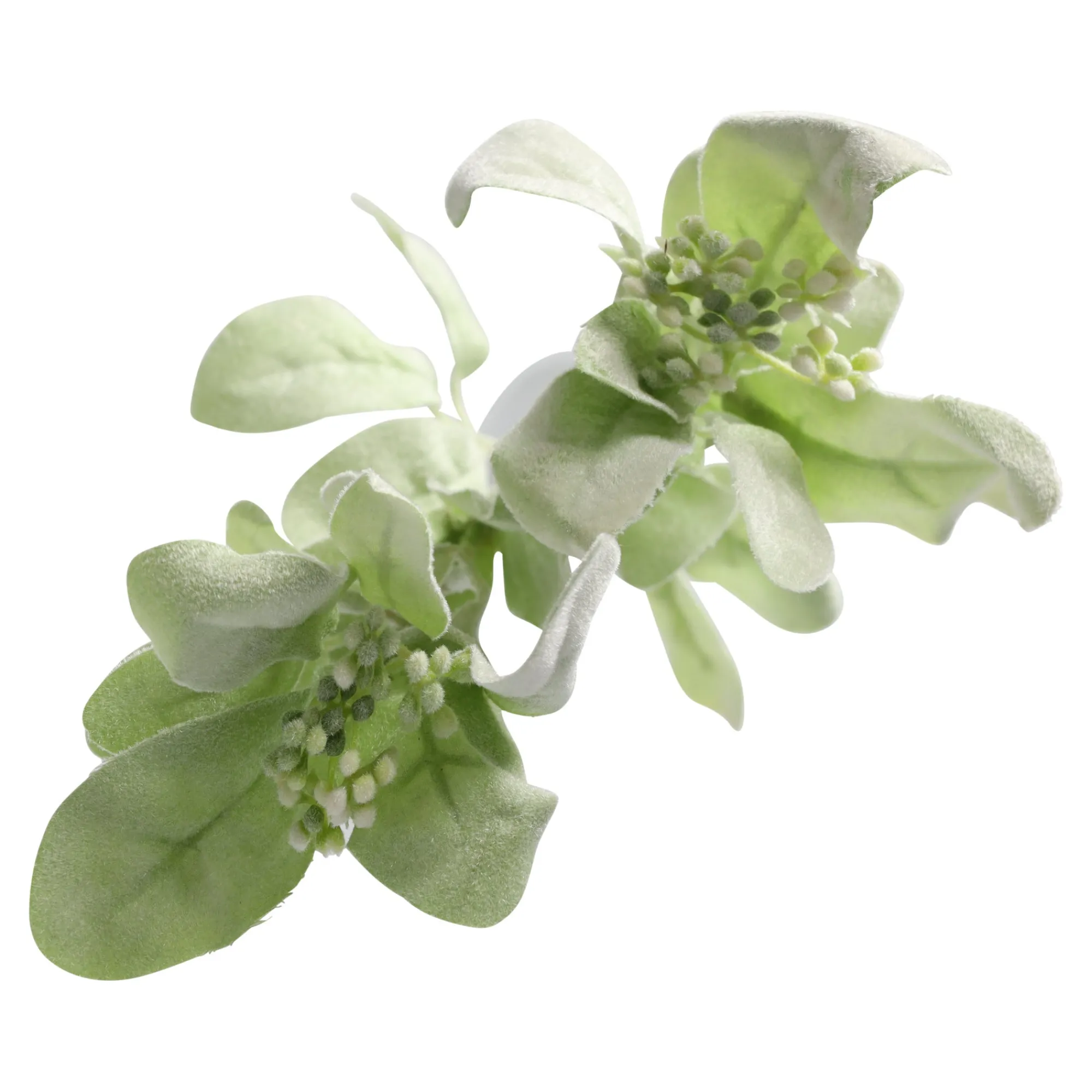 Kunstplanten En Kunstbloemen>Tak Sofie 70 cm groen