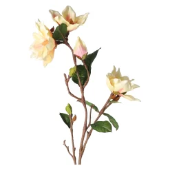 O'malley Kunstplanten En Kunstbloemen>Tak Yulan 103 cm beige