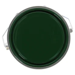 Finess Beits En Vernis>Tuinbeits DK m.groen 2503 2.5L