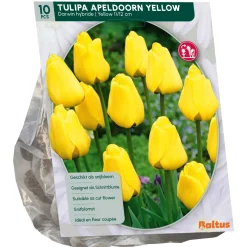 Baltus Bodemverbeteraars>Tulipa Apeldoorn Geel Darwin per 10