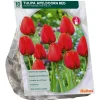 Baltus Bodemverbeteraars>Tulipa Apeldoorn Rood Darwin per 10