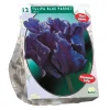 Baltus Bodemverbeteraars>Tulipa Blue Parrot Parkiet per 12