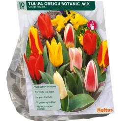 Baltus Bodemverbeteraars>Tulipa Greigii Mix per 10