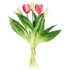 O'malley Kunstplanten En Kunstbloemen>Tulp sil touch 32 cm fuchsia