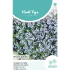 Horti Tops Moestuin>Vergeet-me-nietje blauw