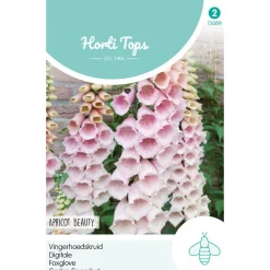 Horti Tops Moestuin>Vingerhoedskruid Apricot Beauty