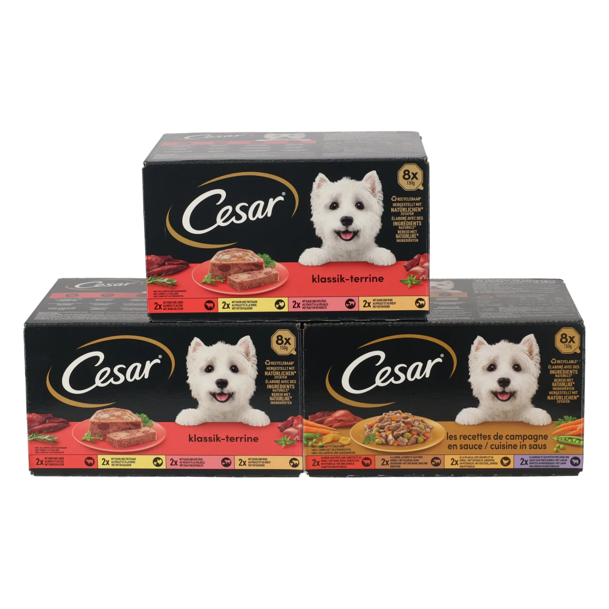 Cesar Hondenvoer>Voer hond 16+8