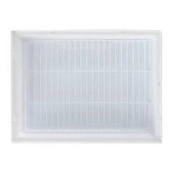 Flamingo Vogelkooi><noscript><img width=